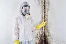 Best Basement Mold Removal  in Baltic, CT